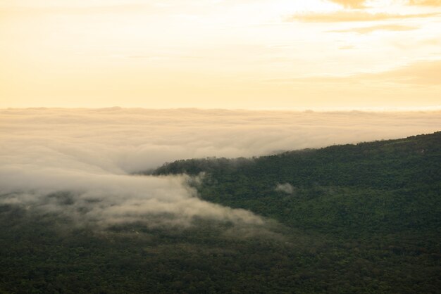 Montanhas de nevoeiro