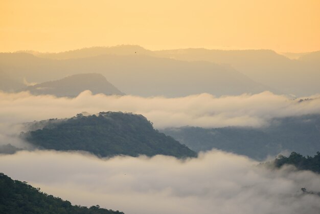 Montanhas de nevoeiro