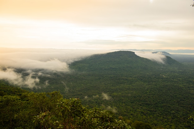 Montanhas de nevoeiro