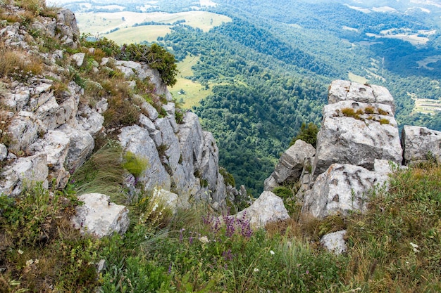 montanhas de verão grama verde e céu azul paisagem