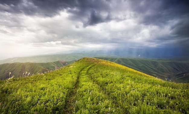 Montanhas de verão no Cazaquistão