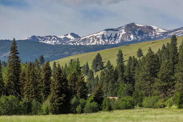 Montanhas de verão