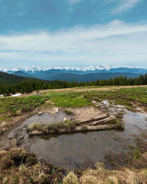 Foto montanhas dos cárpatos de primavera