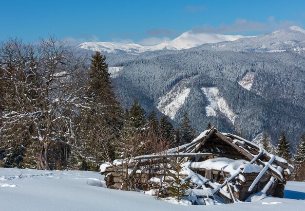 Montanhas dos Cárpatos nevados de inverno e antigo galpão de madeira arruinado Ucrânia