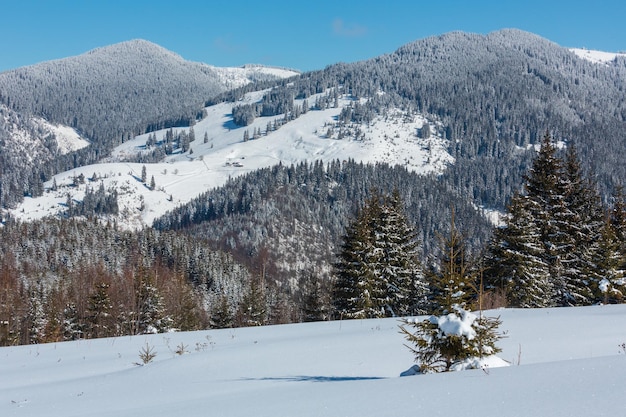 Montanhas dos Cárpatos nevados do inverno Ucrânia