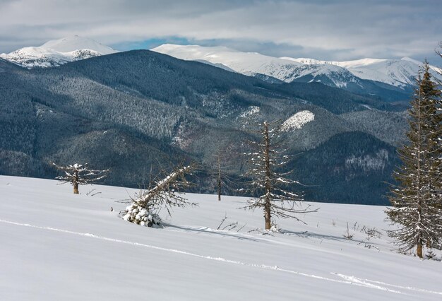 Montanhas dos Cárpatos nevados do inverno Ucrânia