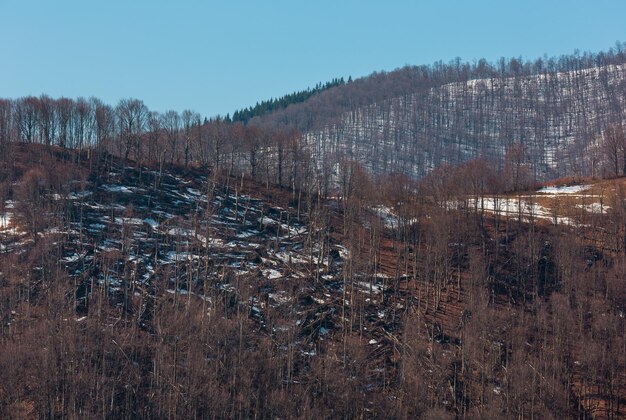 Montanhas dos Cárpatos no início da primavera