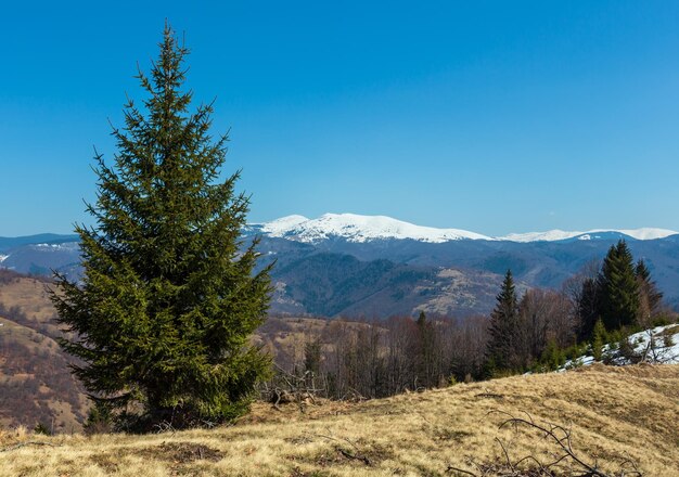 Montanhas dos Cárpatos no início da primavera