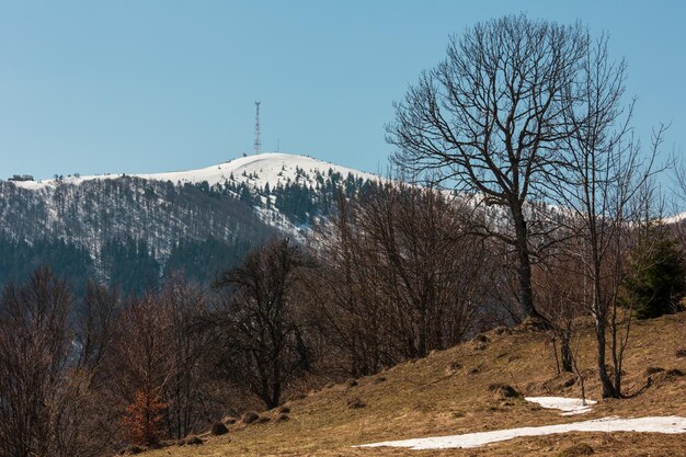 Montanhas dos Cárpatos no início da primavera