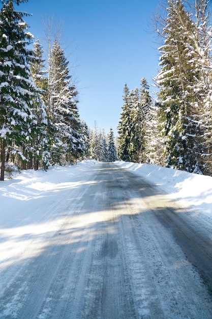 Montanhas dos Cárpatos Ucrânia Belas paisagens de montanhas nevadas