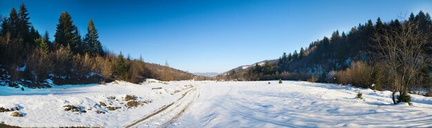 Foto montanhas dos cárpatos ucrânia maravilhosos abetos cobertos de neve contra o pano de fundo dos picos das montanhas vista panorâmica da pitoresca paisagem de inverno nevado dia ensolarado lindo e tranquilo