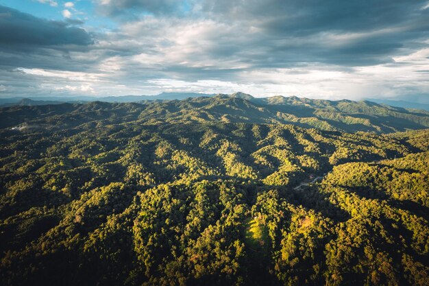 Montanhas e árvores verdes à noite