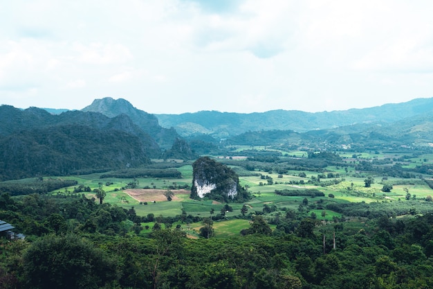 Montanhas e árvores verdes durante o dia