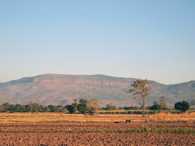 Montanhas e campos