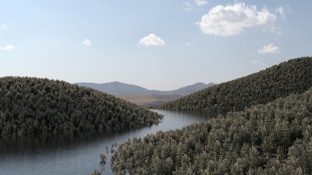 montanhas e desfiladeiros cobertos de floresta de coníferas, renderização 3d