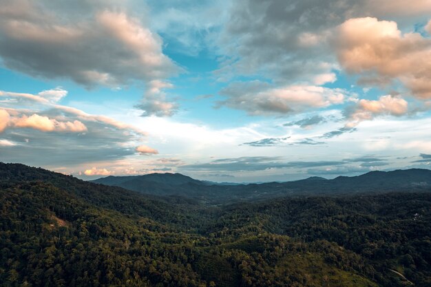 Montanhas e floresta verde à noite, vista aérea