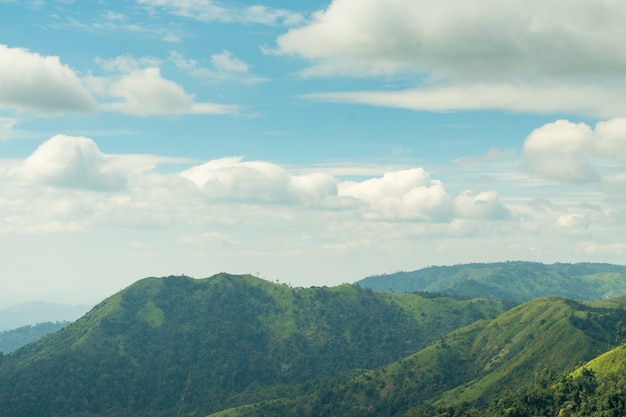 Montanhas e florestas de manhã.