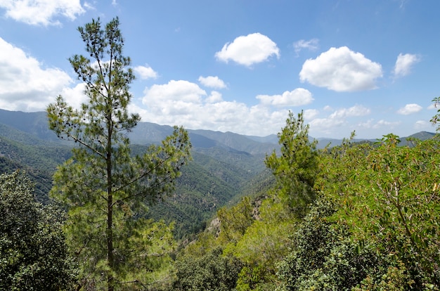 Montanhas e florestas em Chipre