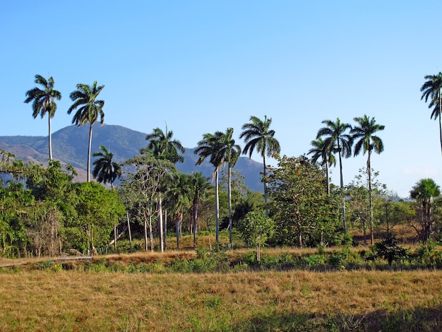 Montanhas e vales em trinidad, cuba