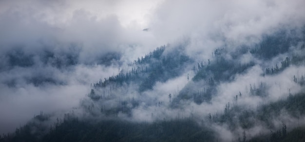 Montanhas em nuvens e neblina