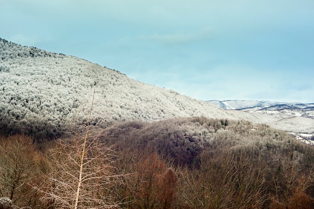 Montanhas eslovenas cobertas pela neve