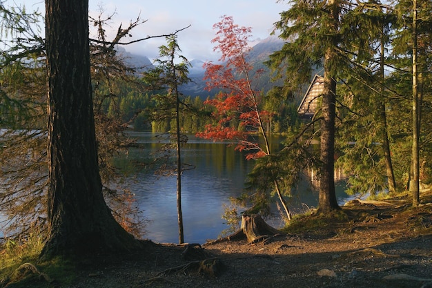 Montanhas lago Strbske Pleso no Parque Nacional High Tatras Eslováquia Europa Estação de esqui outono tempo natureza pacífica papel de parede férias tranquilas conceito de viagem