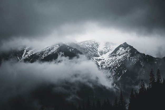 montanhas majestosas cobertas de neve incrivelmente belas nas nuvens, vida selvagem incrível