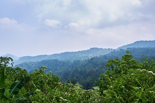 Montanhas naturais frescas para olhar durante o dia