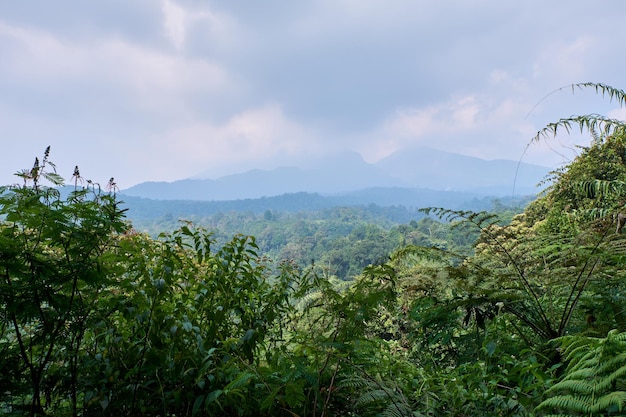 Montanhas naturais frescas para olhar durante o dia