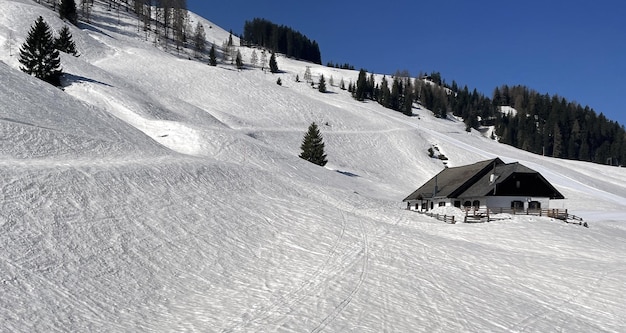 Montanhas nevadas com pistas de esqui entre árvores sob um céu azul ensolarado