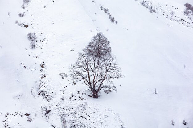 Montanhas nevadas de inverno na Geórgia