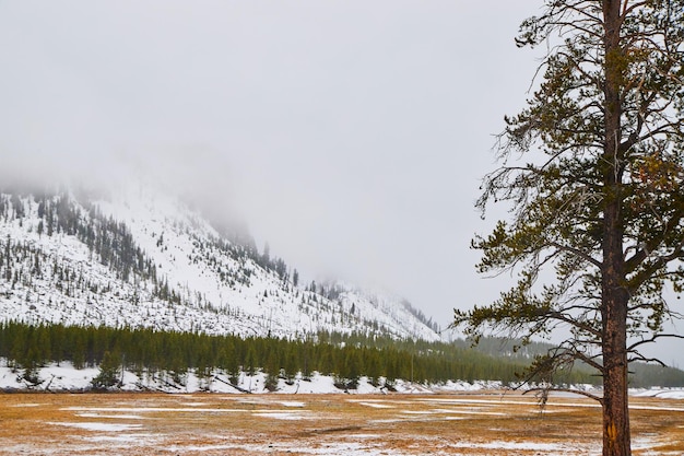 Montanhas nevadas de Yellowstone com neblina cobrindo topos