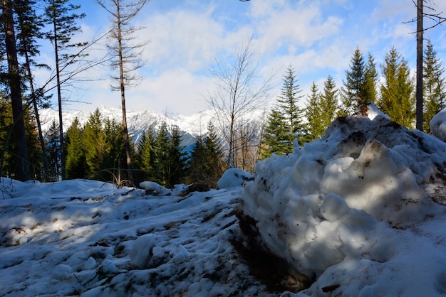 Montanhas nevadas do parque de inverno e céu azul podem ser vistas à distância