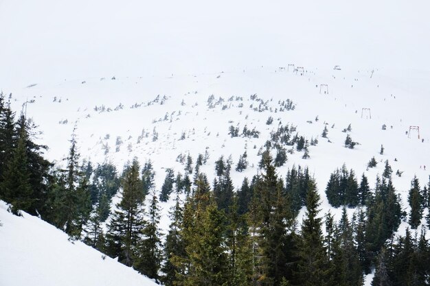 Montanhas nevadas no inverno