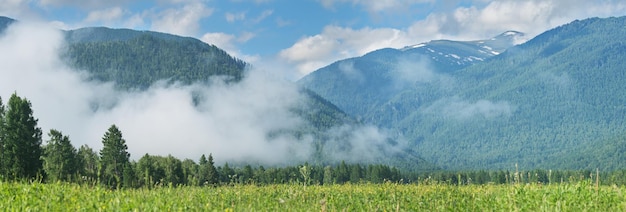 Montanhas no meio do nevoeiro vista panorâmica rural névoa matinal verão