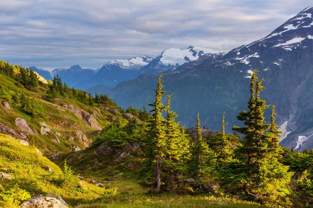 Montanhas pitorescas do canadá no verão