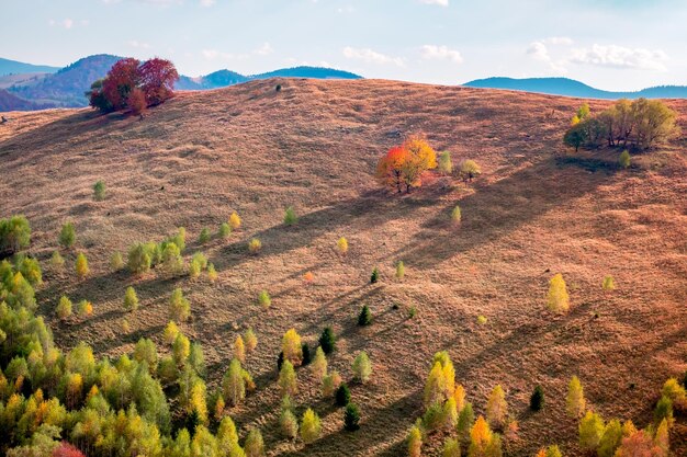 Foto montanhas romenas na estação de outono montanhas cindrel paltinis área sibiu condado romênia central