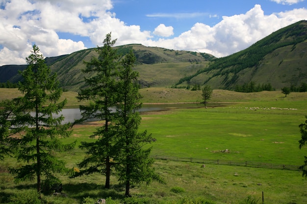 Foto montanhas sayan ocidentais