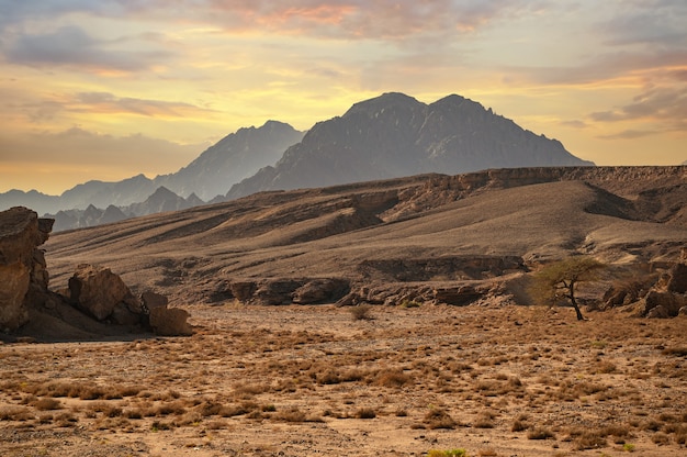 Montanhas sinai montanhas sharm el sheikh na ponta sul do deserto da península sinai