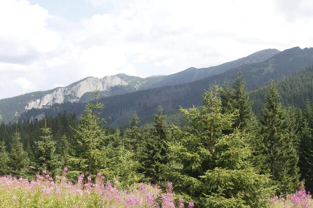 Montanhas Tatra da Polônia