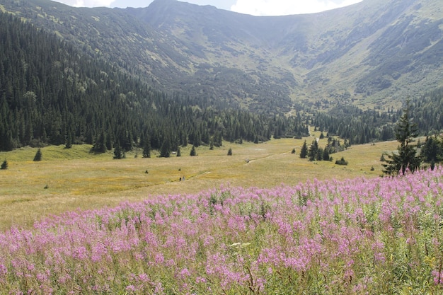 Montanhas Tatra da Polônia