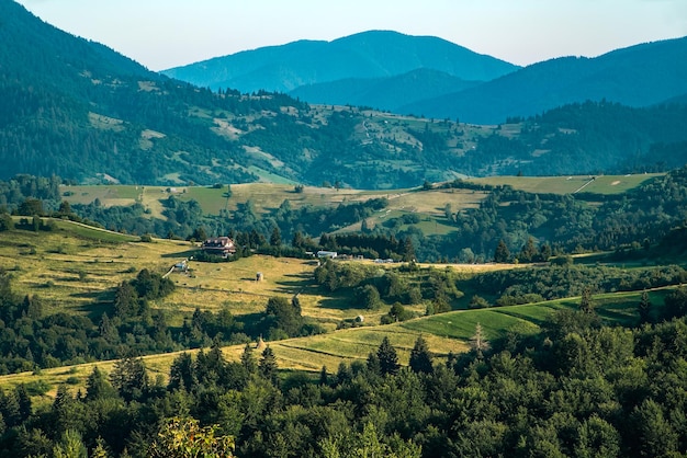 Montanhas verdes completamente cobertas por florestas e clareiras As clareiras que se estendem pela floresta refletem a grama verde brilhante e várias cores de flores