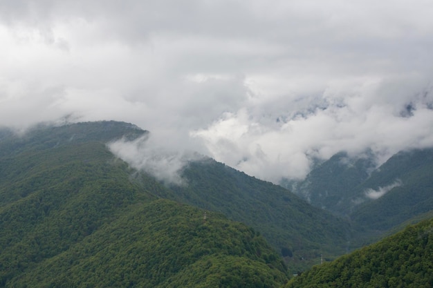 Montanhas verdes de primavera em nuvens e neblina O conceito é estar acima das nuvens