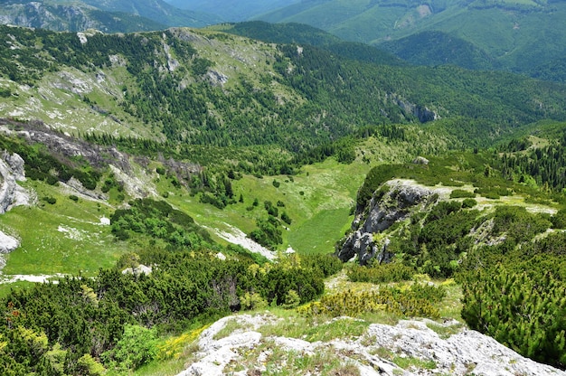 Montanhas verdes vibrantes na primavera