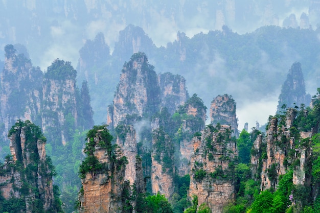 Foto montanhas zhangjiajie, china