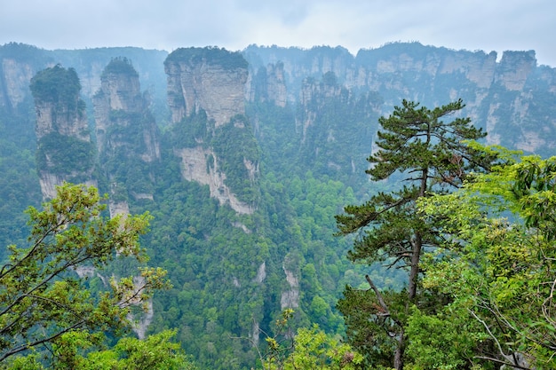 Montanhas Zhangjiajie China