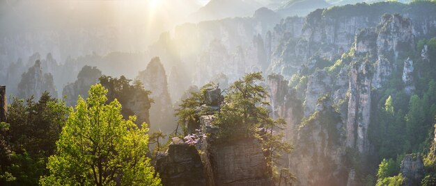 Foto montanhas zhangjiajie china