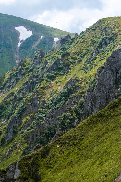 Montañismo. Hermosas vistas a la montaña. Bosques de coníferas y praderas alpinas