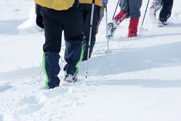 montañismo en la nieve