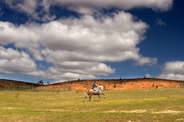 Montar a caballo en un prado con hermoso cielo lleno de nubes